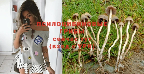 мяу мяу кристалл Бутурлиновка