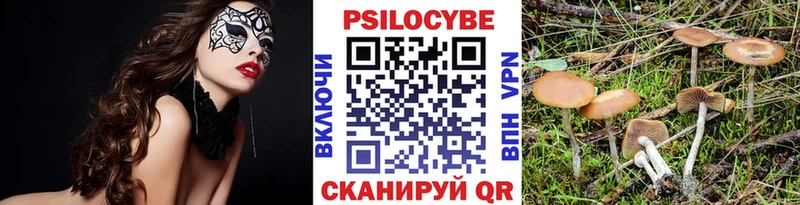 Псилоцибиновые грибы Magic Shrooms  Болотное 