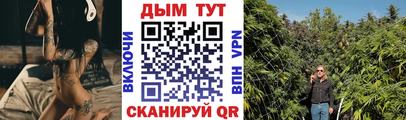 Бошки марихуана THC 21%  что такое наркотик  Болотное 